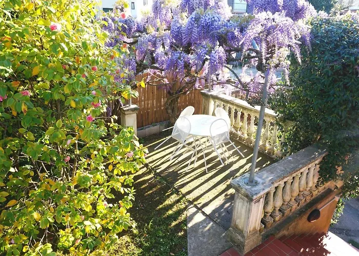 Il Glicine Di Lucca