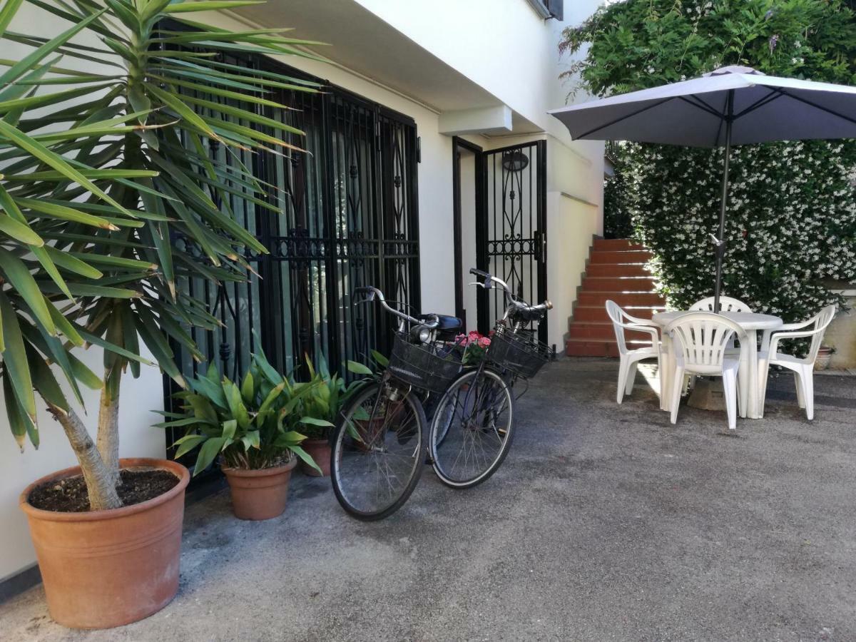 Il Glicine Di Appartement *