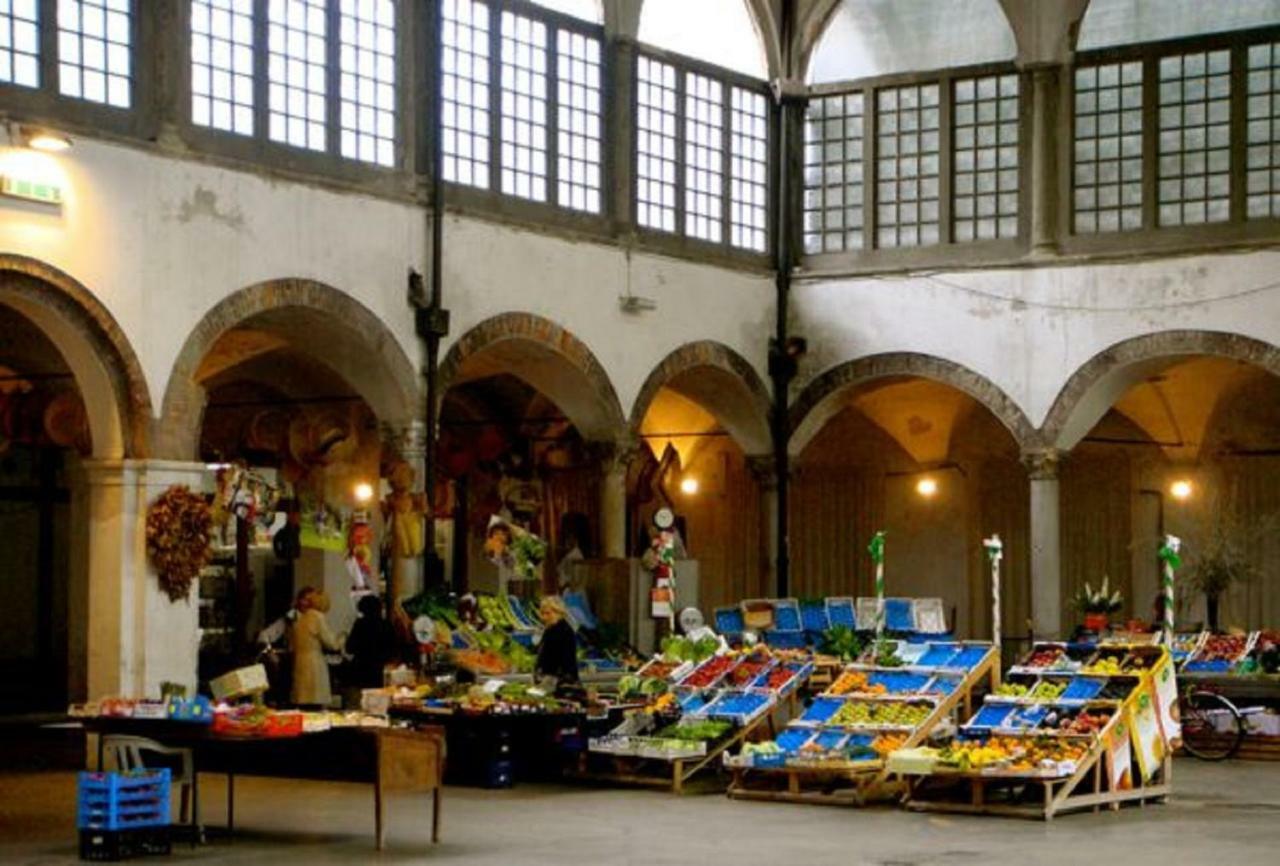 Il Glicine Di Appartement