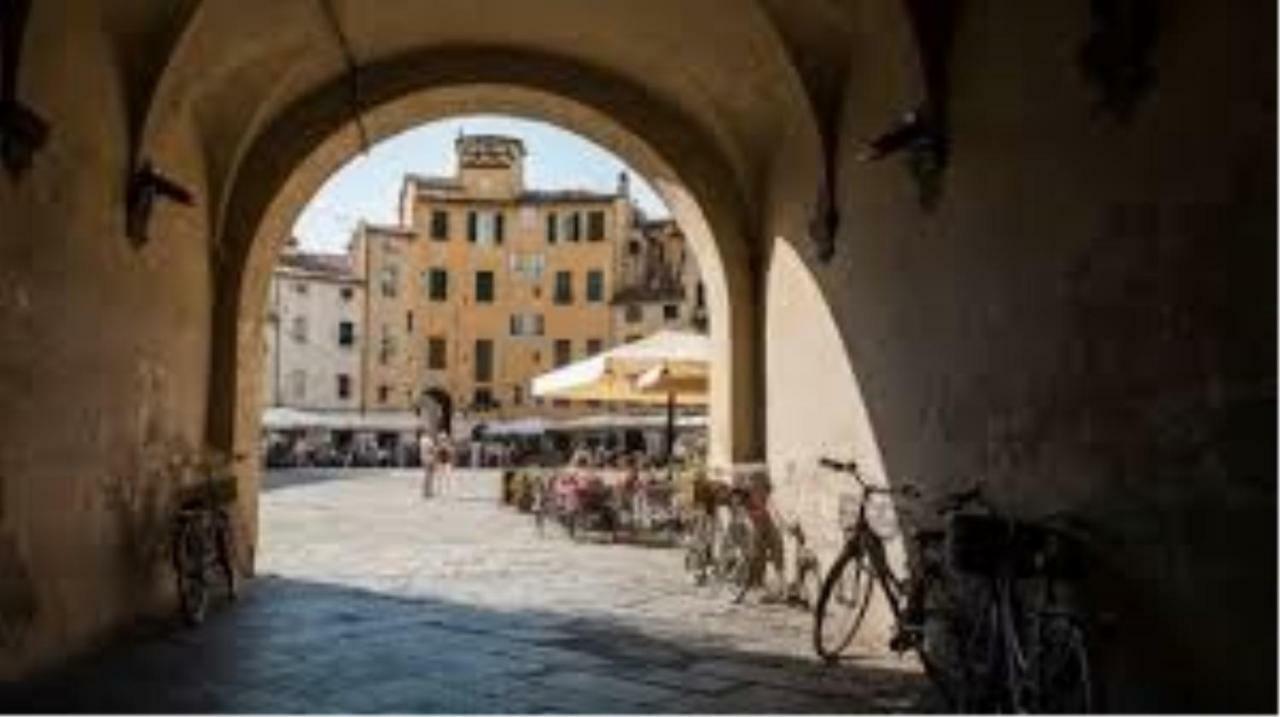 Il Glicine Di *