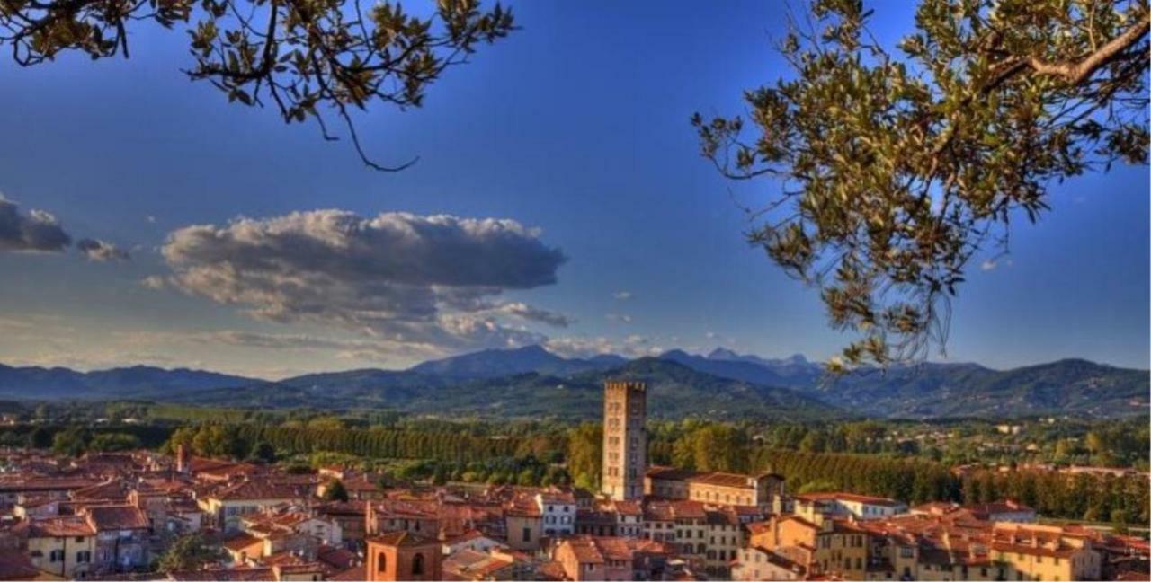 Il Glicine Di