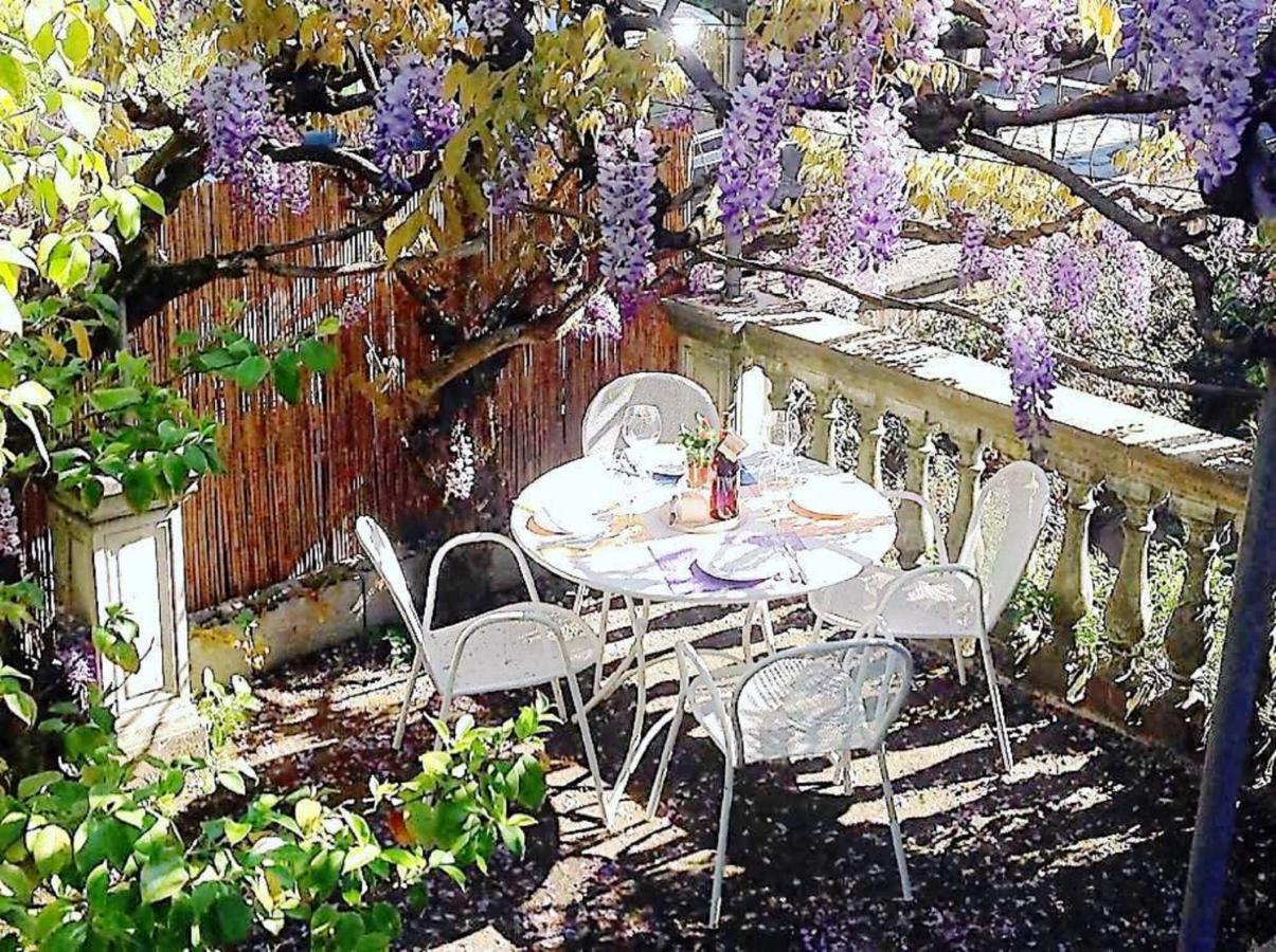 Il Glicine Di Appartement